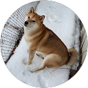 Matt profile picture